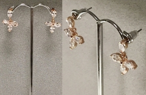 Earrings ER18-0439RG